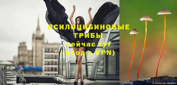 амф Переславль-Залесский