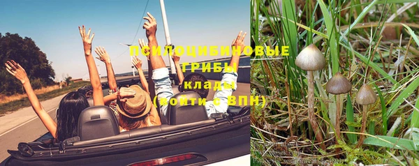 PSILOCYBIN Покачи