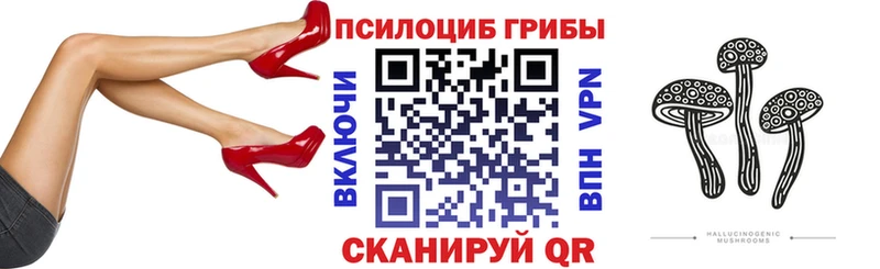 Купить  Электрогорск  Псилоцибиновые грибы ЛСД 